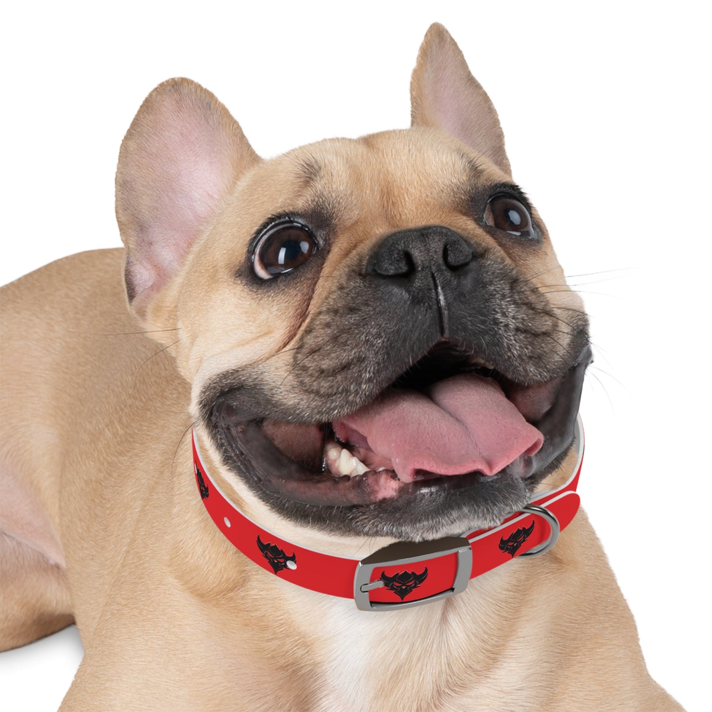 "Ungodly" Dog Collar