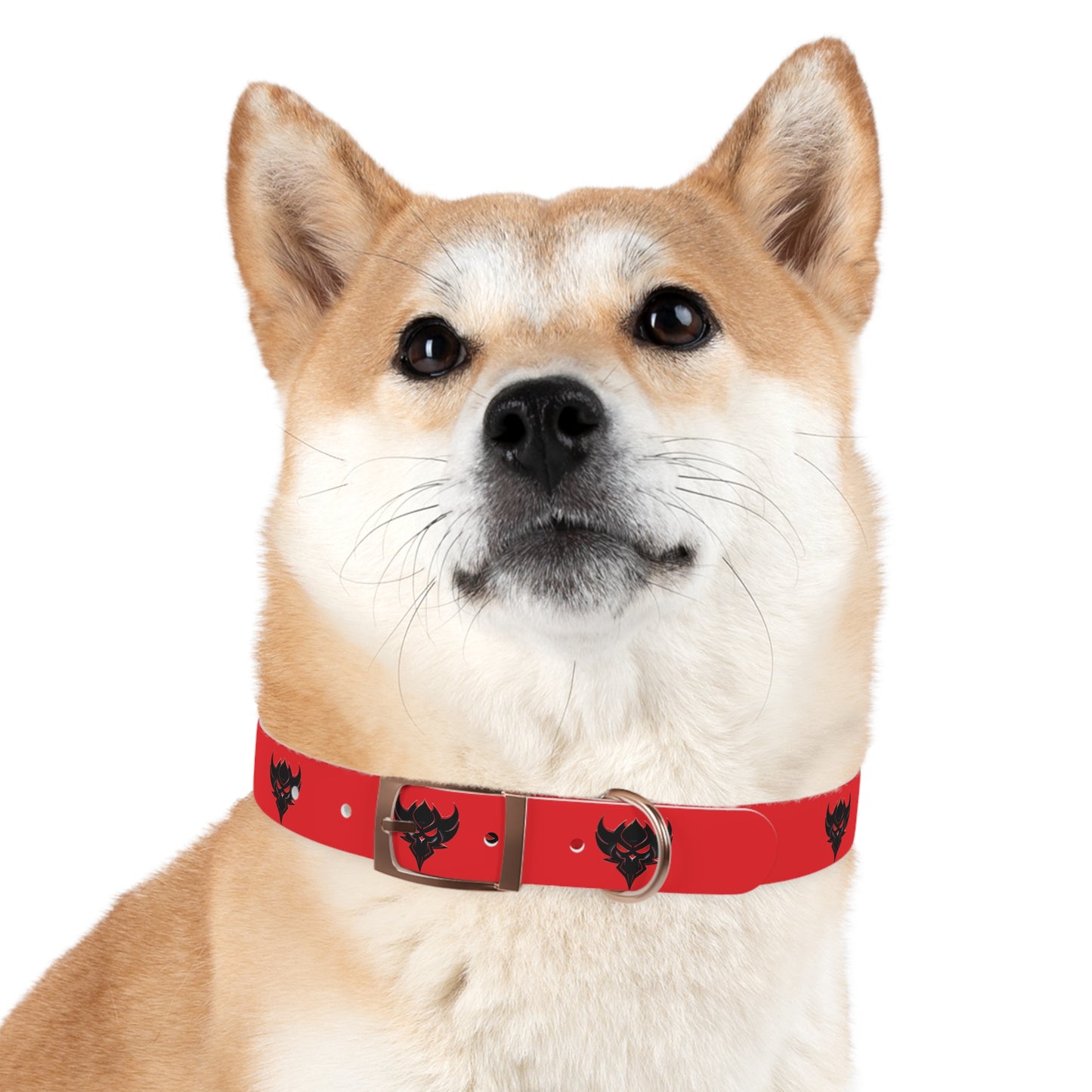 "Ungodly" Dog Collar