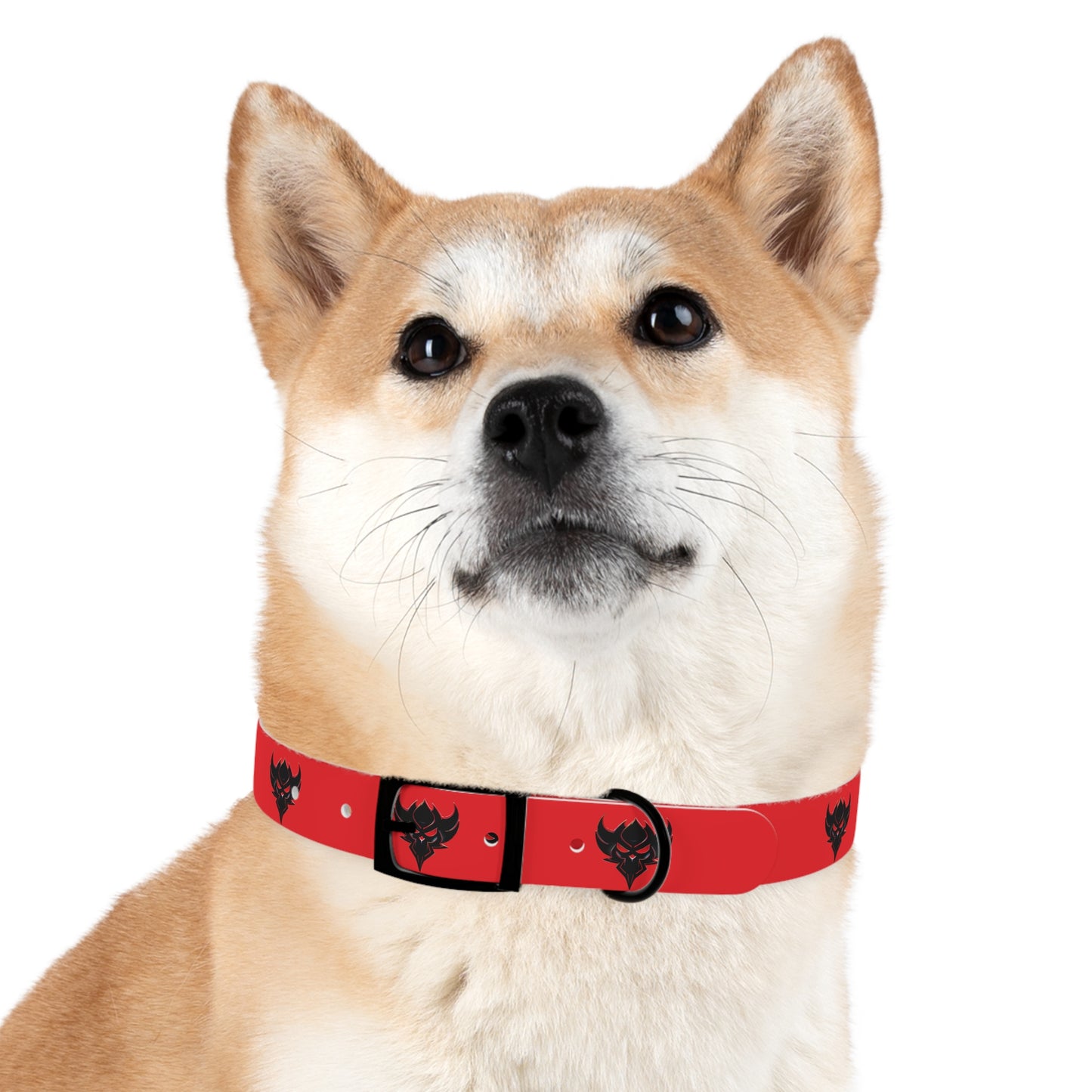 "Ungodly" Dog Collar