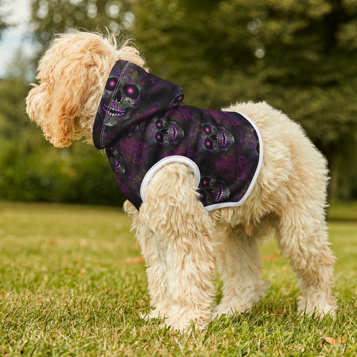 Purple Pet Hoodie