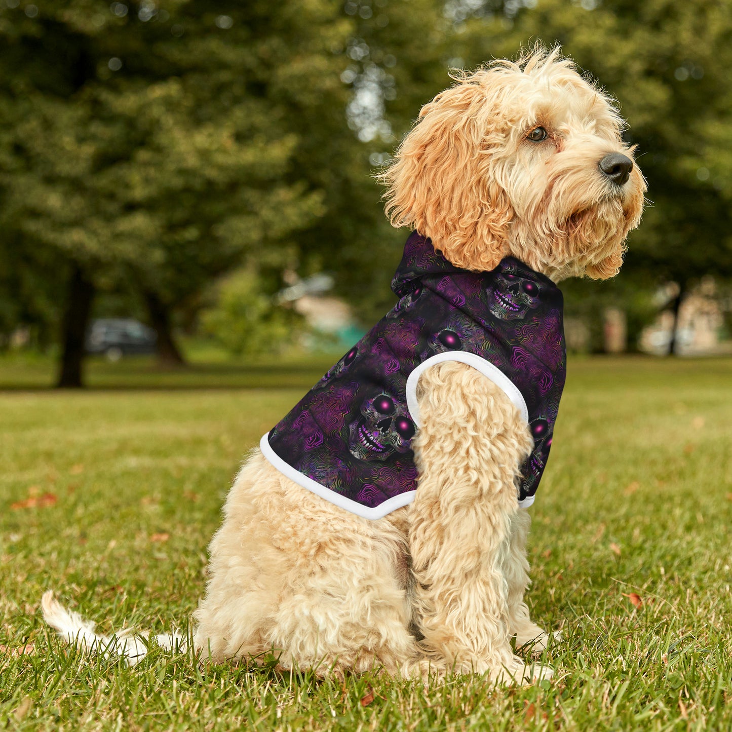 Purple Pet Hoodie