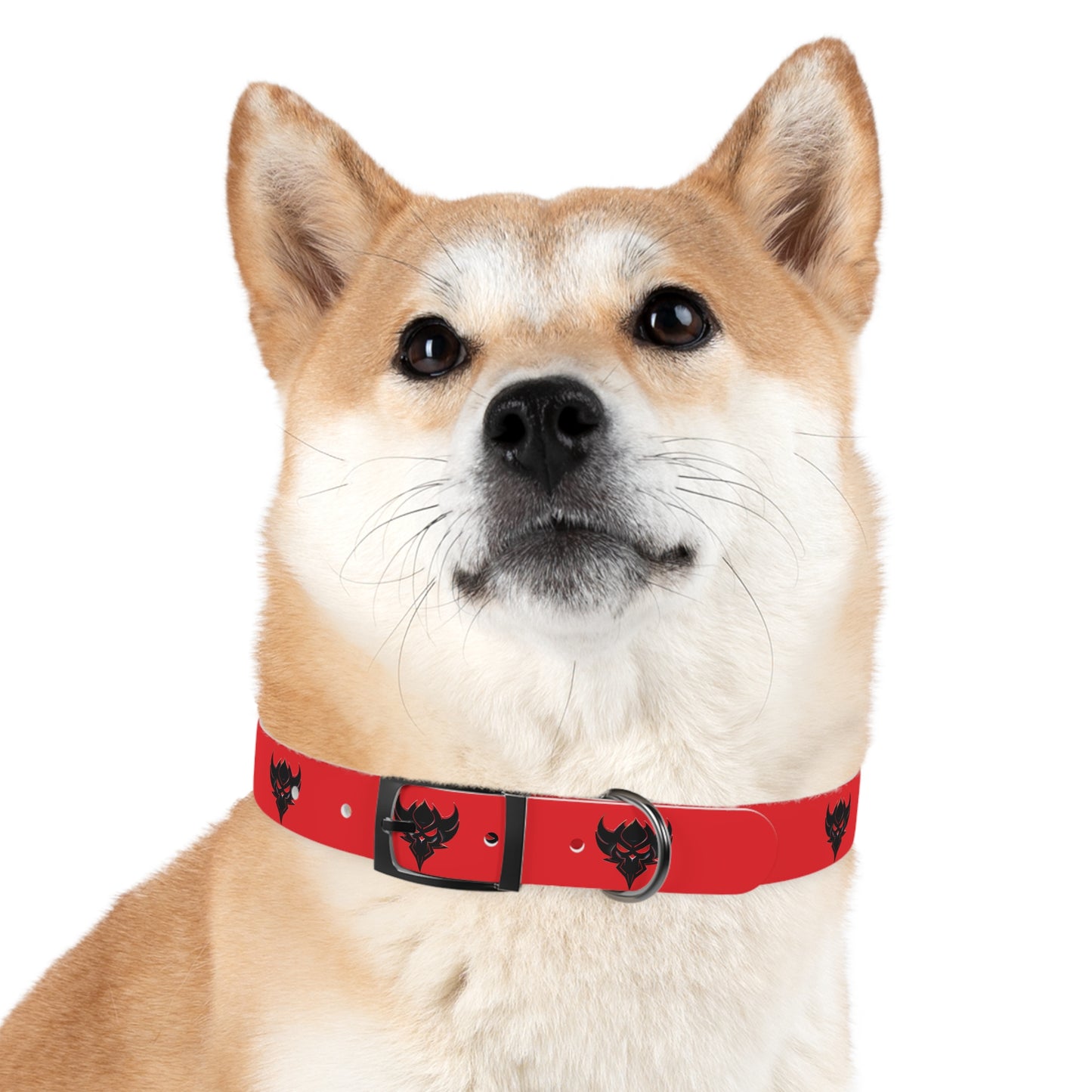 "Ungodly" Dog Collar